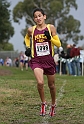2010NCSXC BD3-233